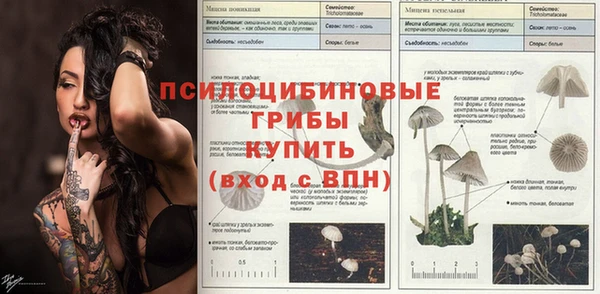а пвп мука Михайлов